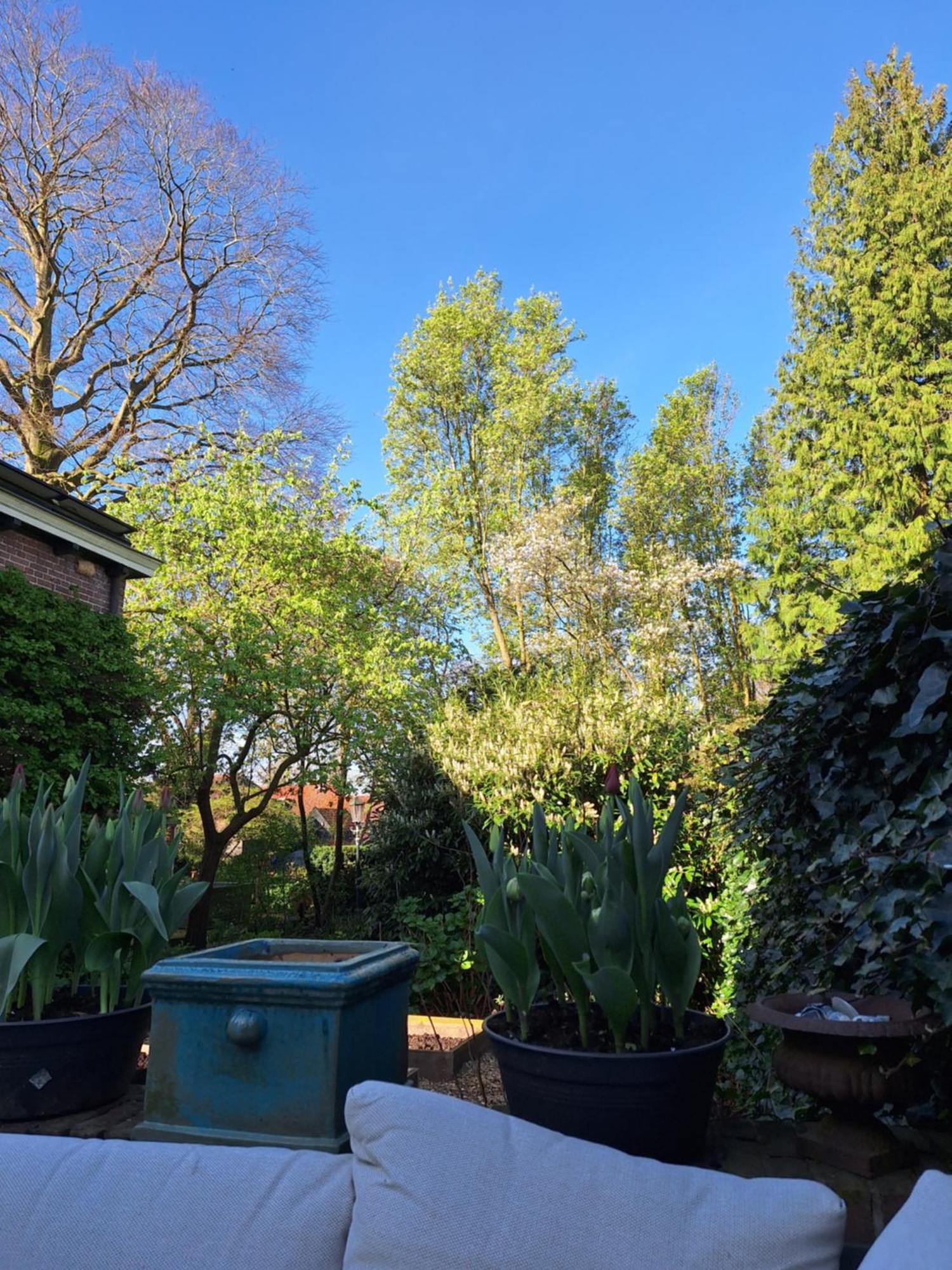 De Consistorie Holiday home Giethoorn
